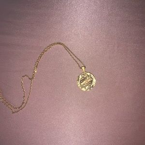 PISCES♓️ zodiac necklace